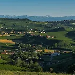 Vitae