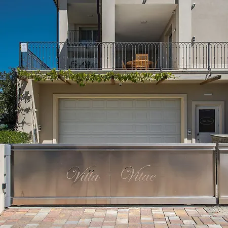 Vitae * Castiglione Falletto