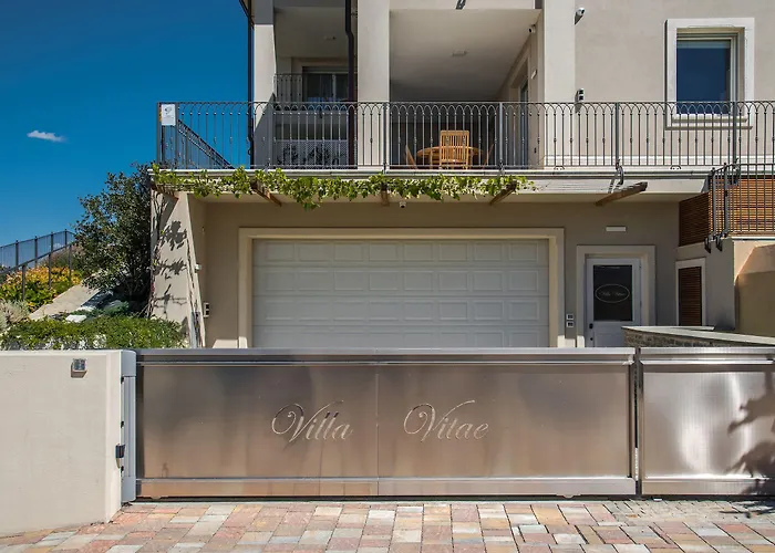 Vitae * Castiglione Falletto