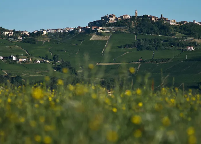 Casa de Férias Vitae